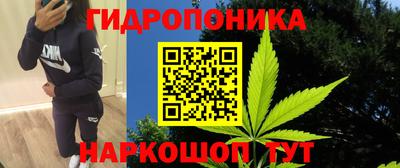 молекула духа Волгодонск