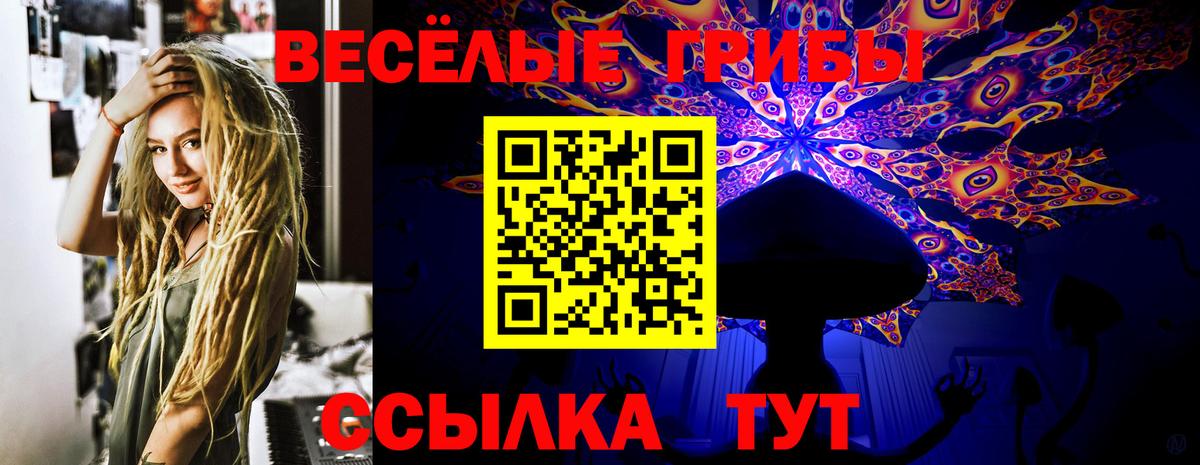 Псилоцибиновые грибы MAGIC MUSHROOMS Сердобск